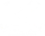 Vettor